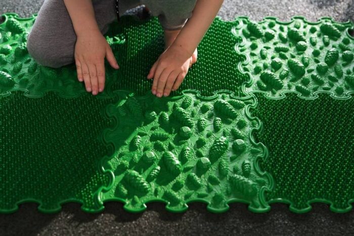 sensoryka szyszki zielone