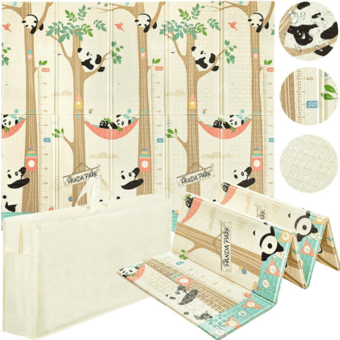 mata edukacyjna lis pandy