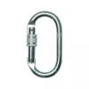 Oval carabiner