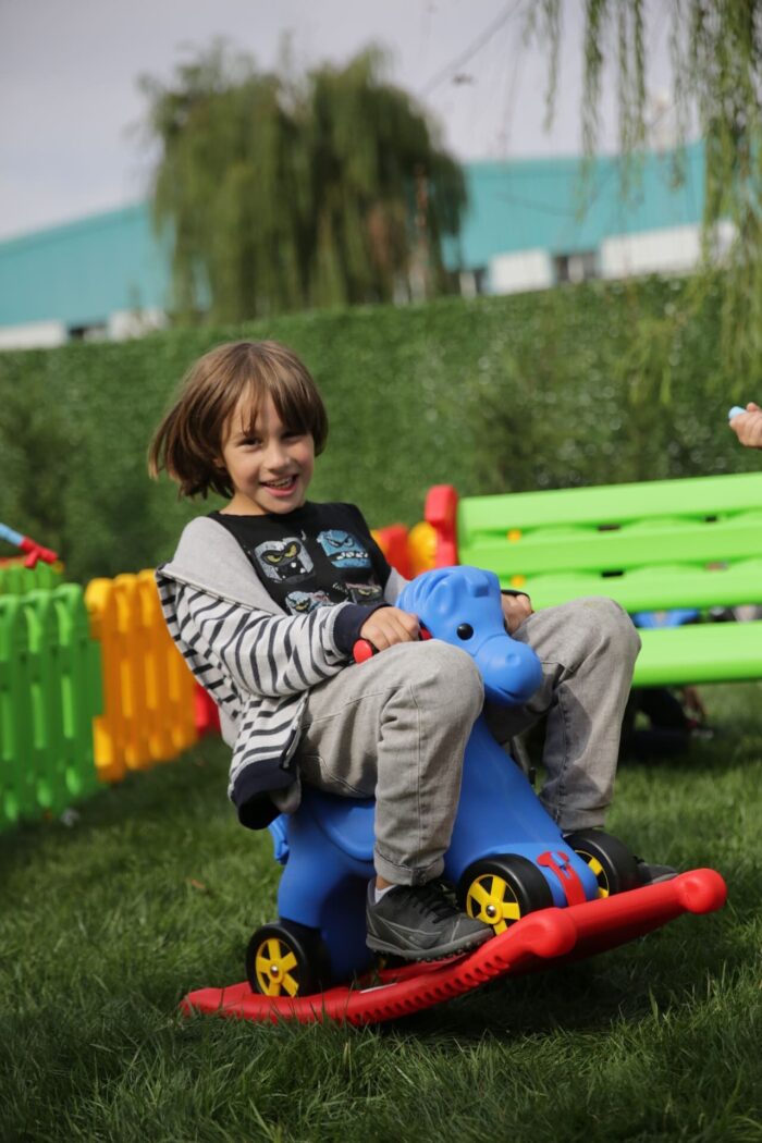 bujak jeździk w Konik ()