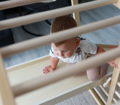 domowy plac zabaw Tygrys ()