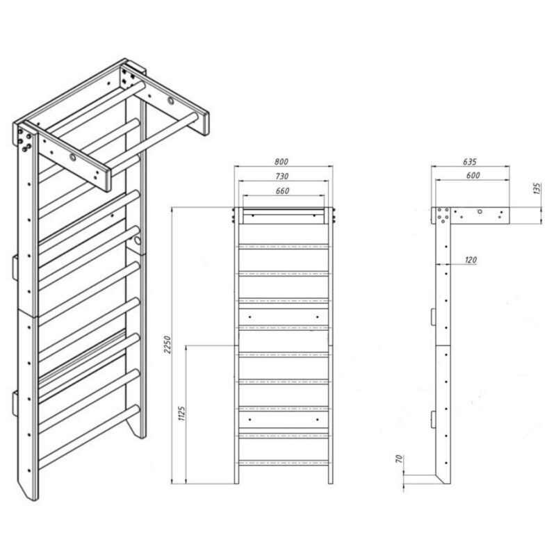 Skandi Gymnastic Wall Bars